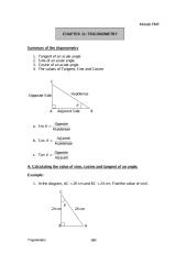 chapter 11 trigonometry.pdf
