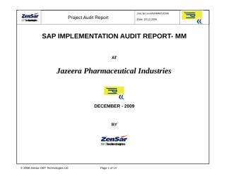 MMWM-Audit Report.doc