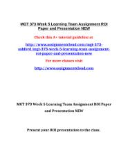 MGT 373 Week 5 Learning Team Assignment ROI Paper and Presentation NEW.doc