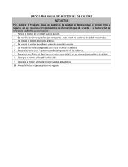 Auditoria Programa.pdf