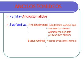 01.06.12 - Família Ancylostomatidae. Ancylostoma braziliense, Ancylostoma duodenale, Ancylostoma caninum e Necator.pdf